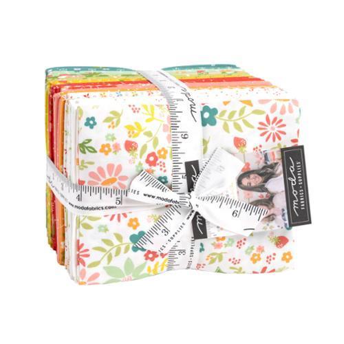 FreeSpirit Fabrics - Tula Pink Besties - Factory Fat Quarter Bundle