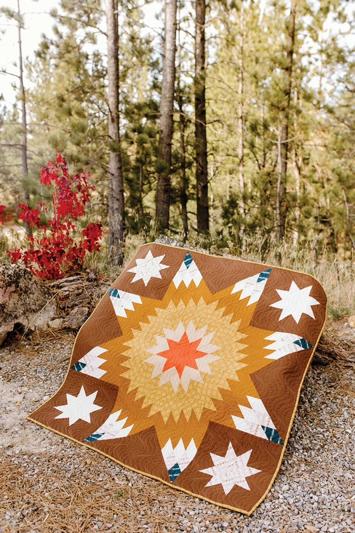 Book - Lone Star Legacy Quilts
