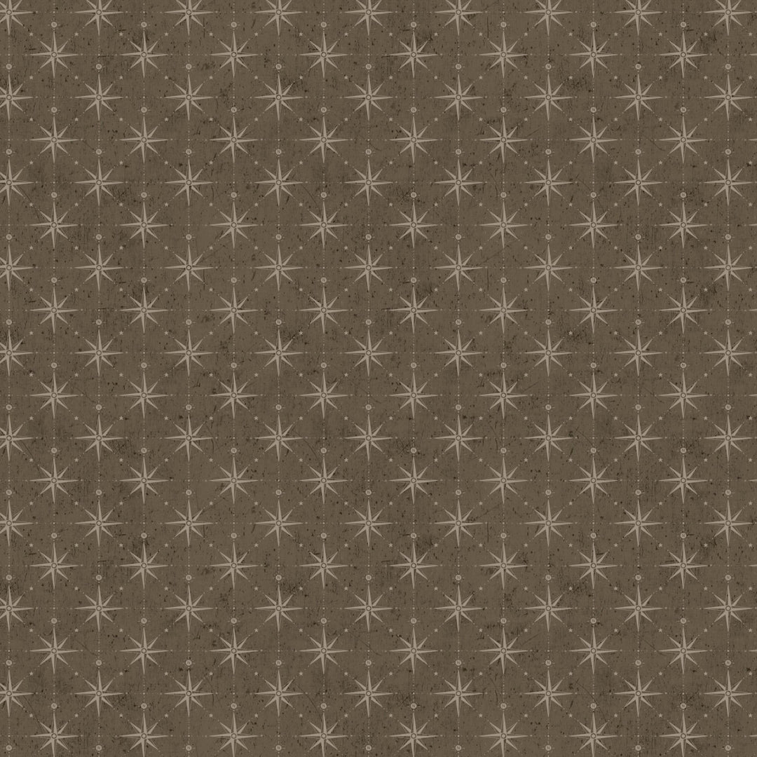 Figo - Great Journey - Compass Brown