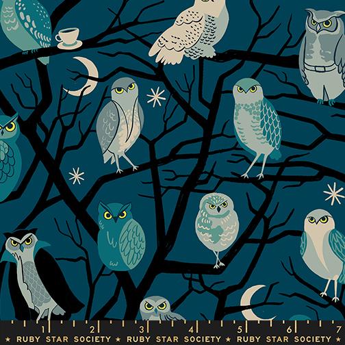 Moda - Ruby Star - Freaky Familiars - Galaxy Owls RS5190 12