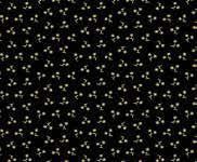 Andover - Belle Rose - Renee Hanneman - Black Star Flower