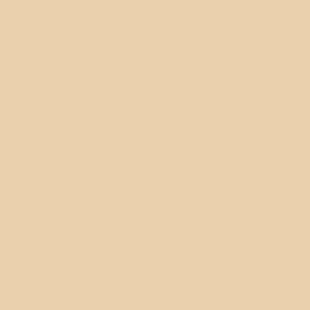 Riley Blake - Confetti Cotton Solid - Eggnog