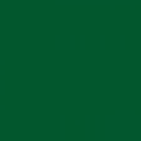 Riley Blake - Confetti Cotton Solid - Forest