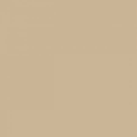 Riley Blake - Confetti Cotton Solid - Palomino