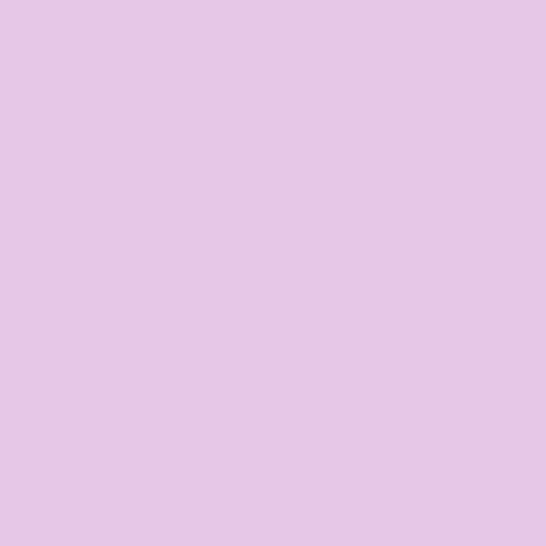 Free Spirit - Tula Pink Solid  - Dazzle