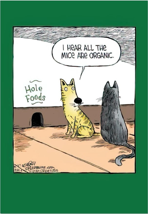 Greeting Card - Birthday - I hear all the mice are organic