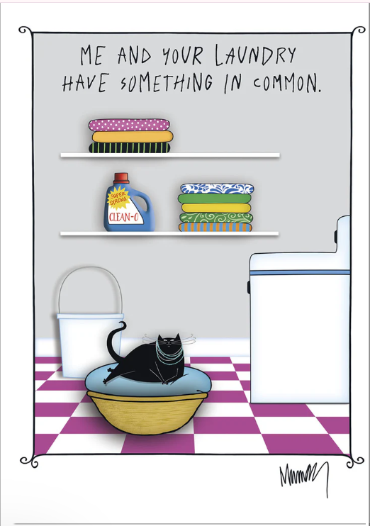 Greeting Card - Friendship - Me and Your Laundry Have Something in Common .