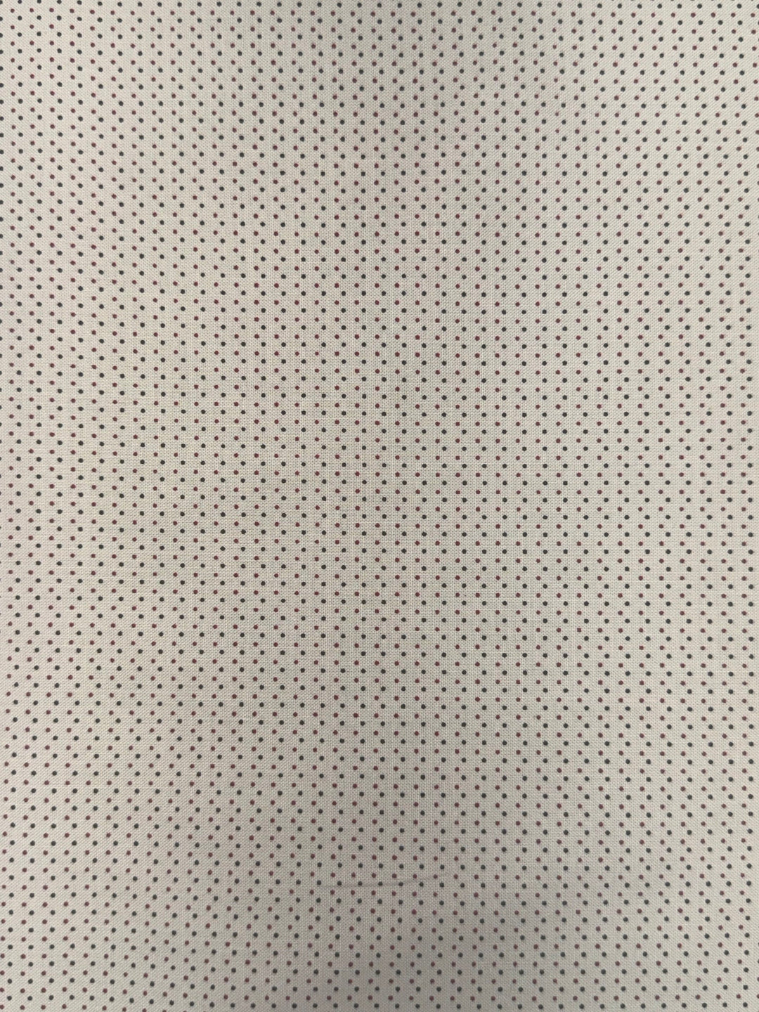 Marcus Brothers - Little Companion Shirtings - Red and Black Dots on Cream