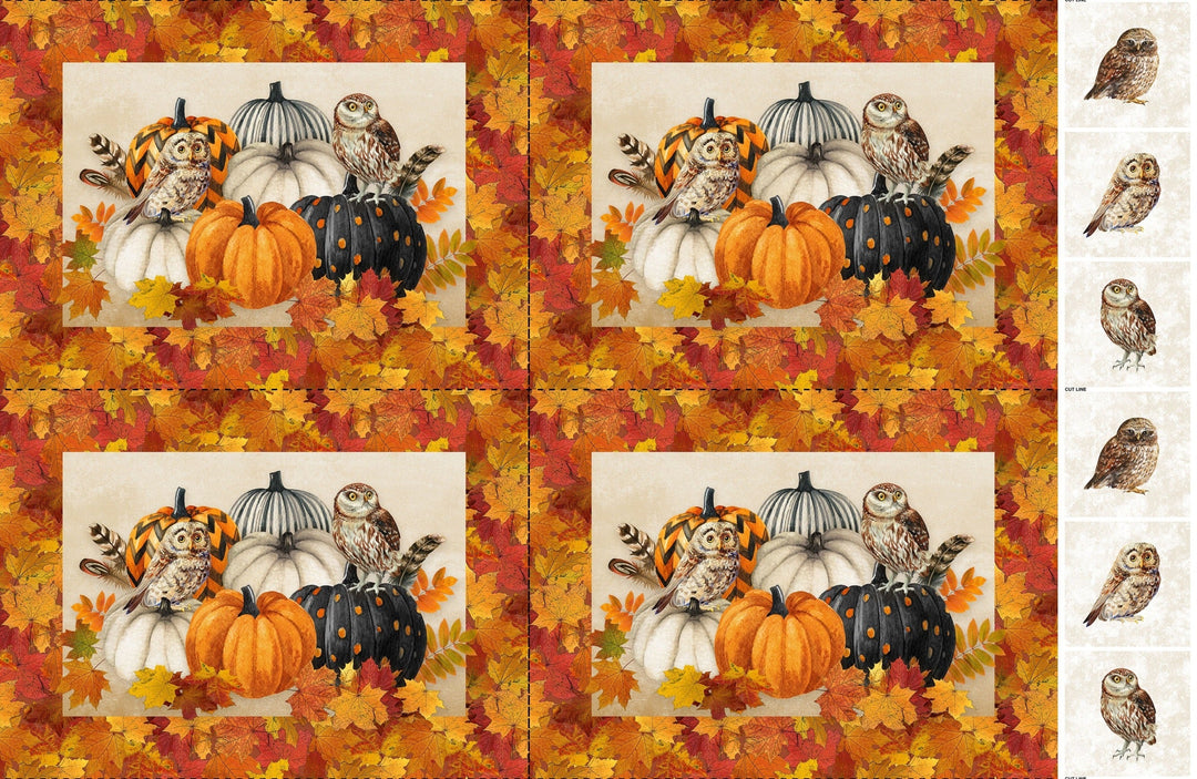 Panel - Northcott - Night Owl Placemats - Beige multi