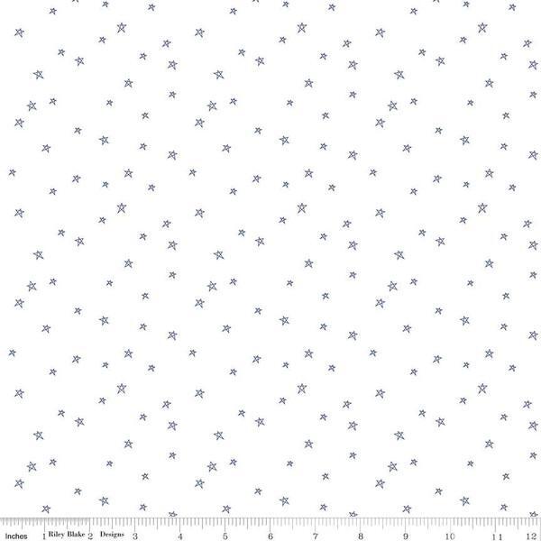 Riley Blake - Lori Holt - Bee Plaids - Denim Stars