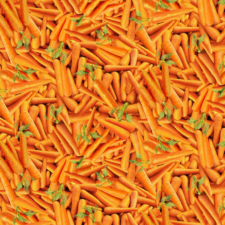 Timeless Treasures - Fresh Veggies - Orange Packed Carrots