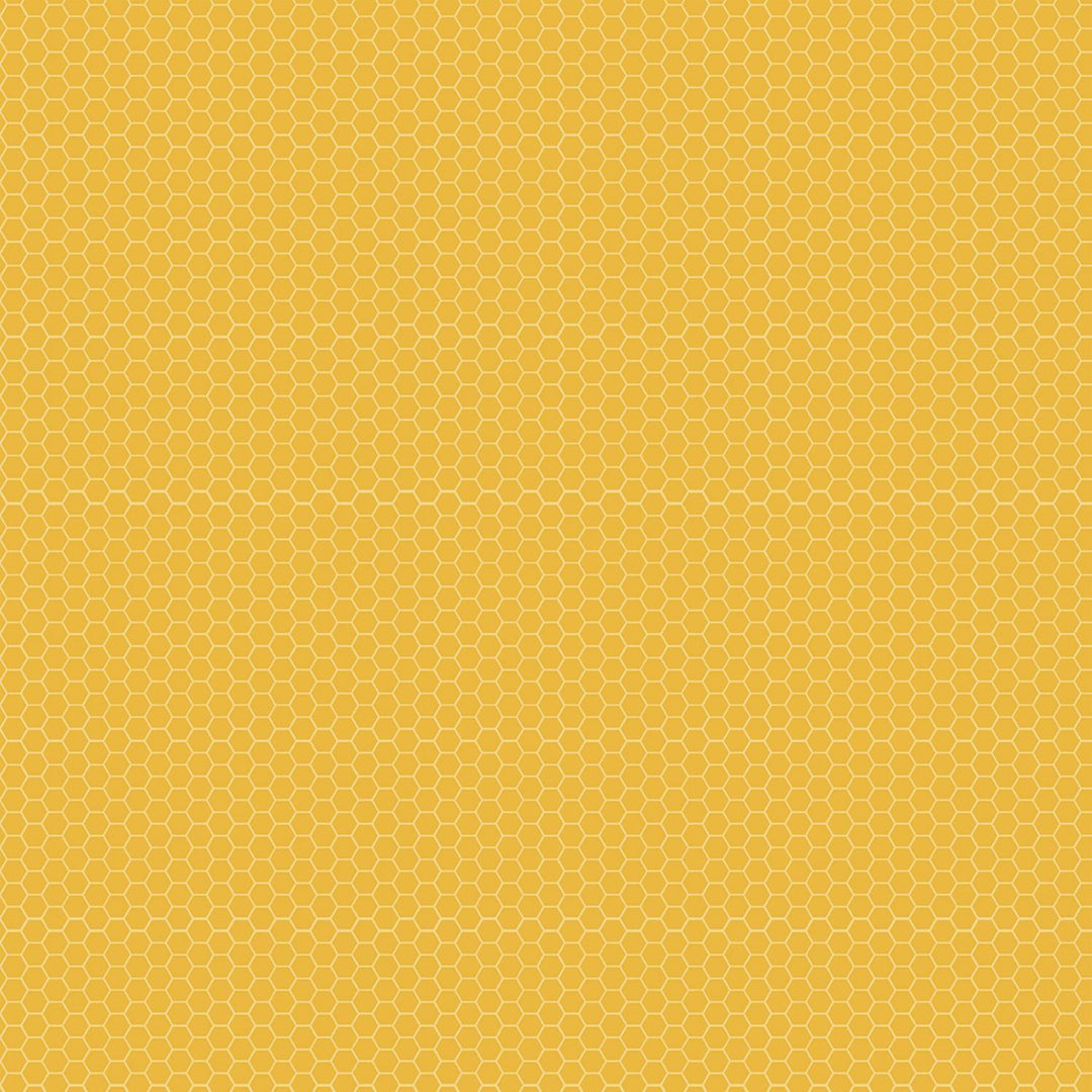 Timeless Treasures - Honey - Yellow Honeycombs