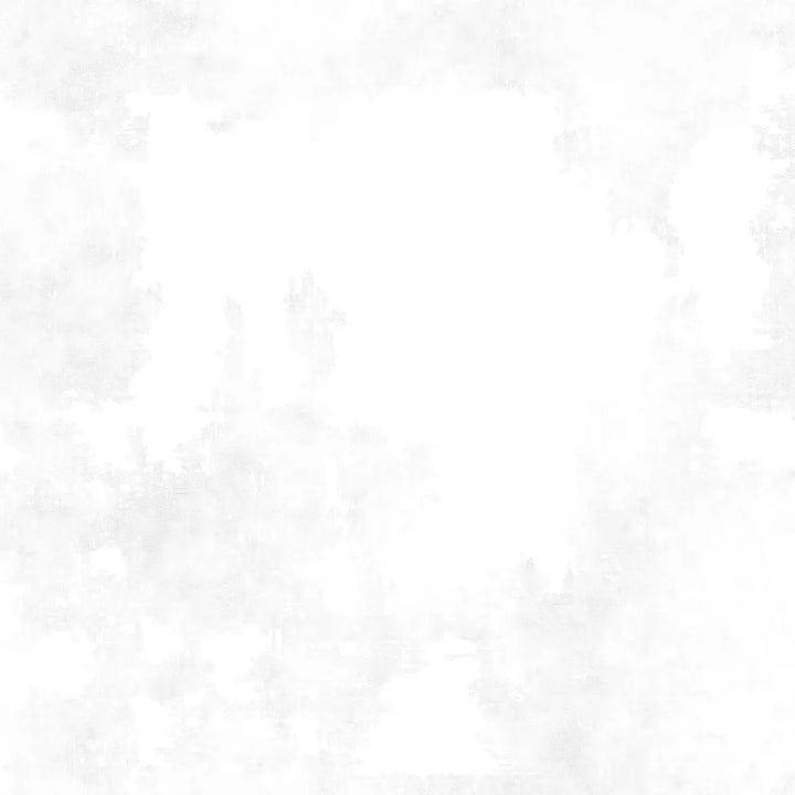 Wilmington - Dry Brush - White on White Dry Brush